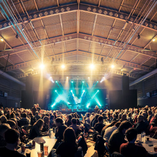 The crowd of an event