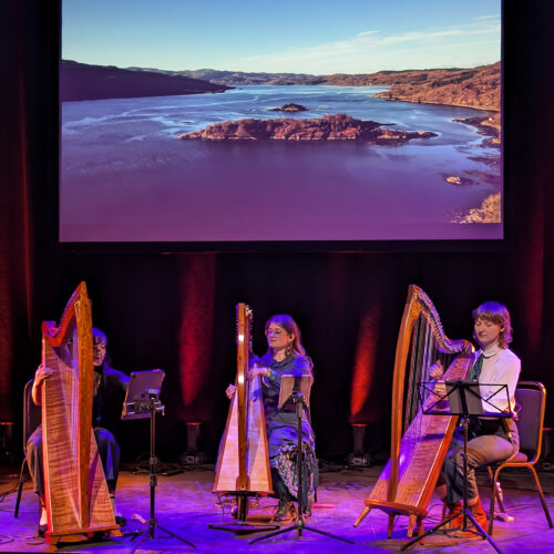 Three harp players on stage